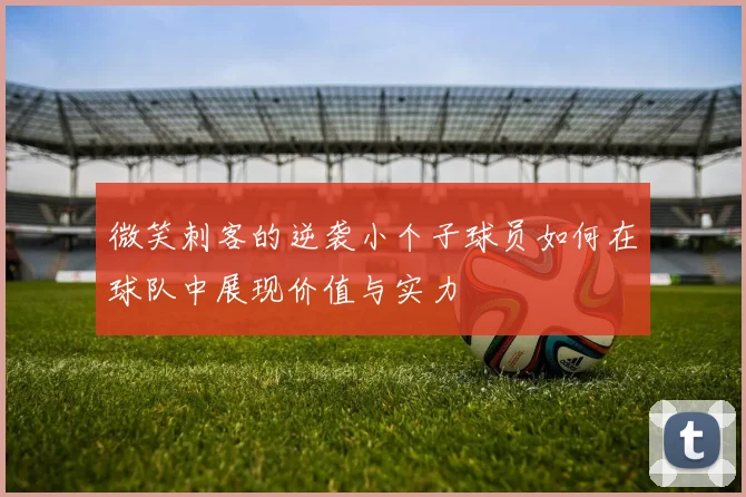 微笑刺客的逆袭小个子球员如何在球队中展现价值与实力