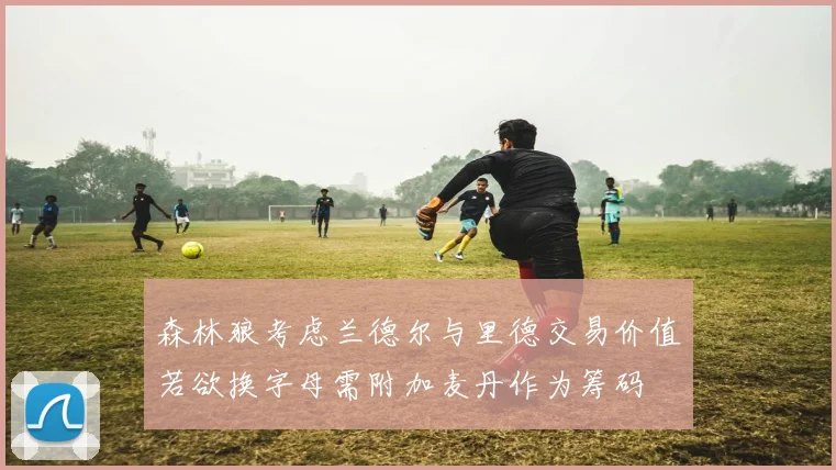 森林狼考虑兰德尔与里德交易价值若欲换字母需附加麦丹作为筹码